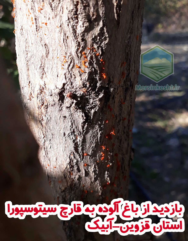 20191113_145019b