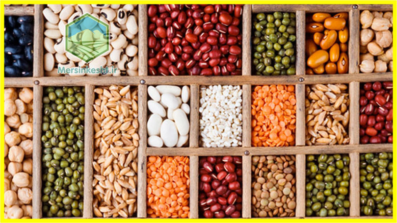 بذرهای هیبرید ترکیبی مقاله مرسین کشت