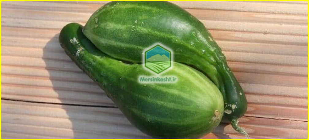 Calcium and potassium deficiency کمبود کلسیم و پتاسیم