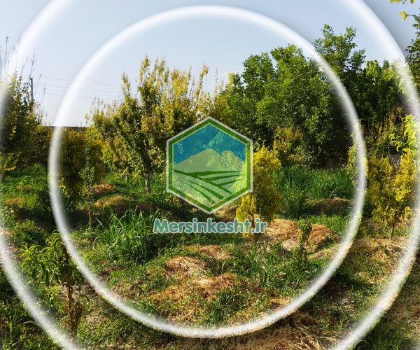 صبا شهر شهریار مرسین کشت گیاهپزشکی