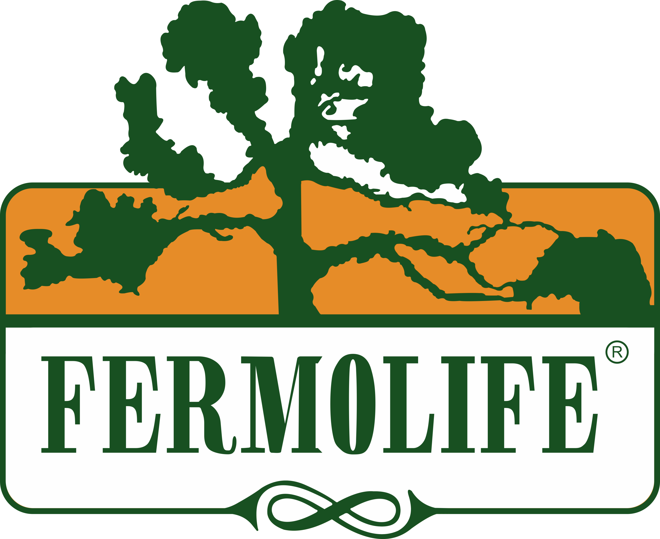 ferm2 Fermolife mersinkesht