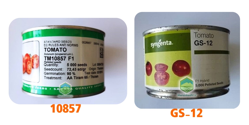 seed1 گوحه فرنگی مرسین کشت
