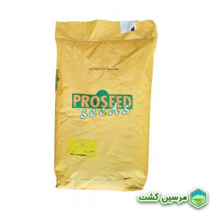 Green Bean Sunray Proseed Holland بذر لوبیا سبز سانری پروسید هلند