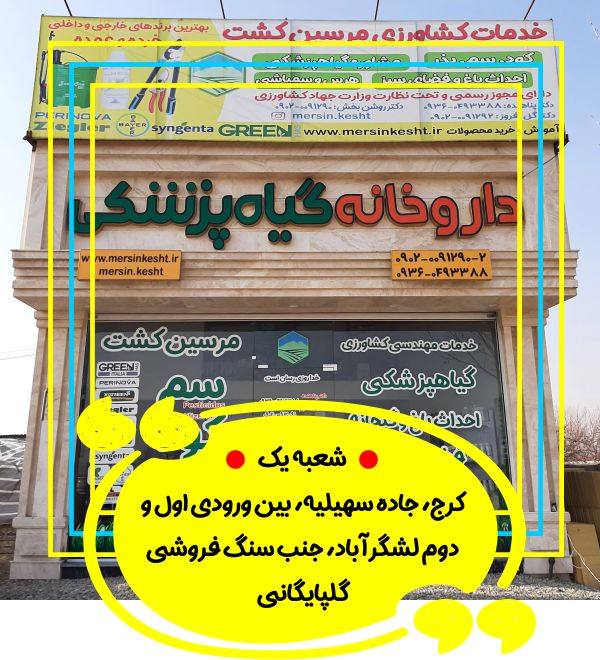 مرسین کشت سهیلیه کردان