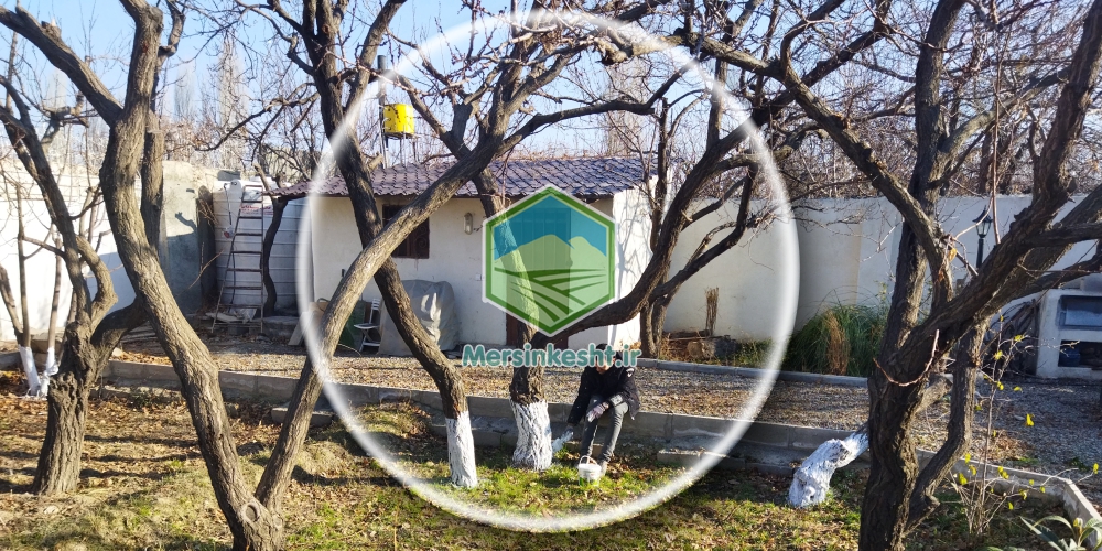 قشلاق شهرستان ملارد