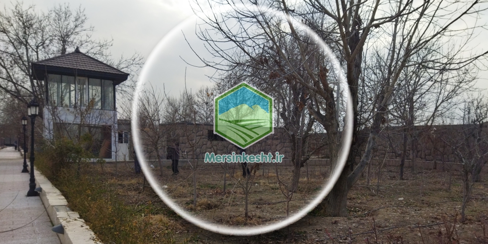 هرس باغ در کمالشهر - البرز