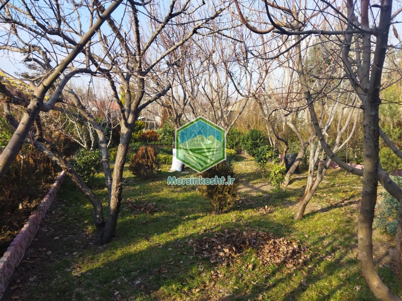 2 pruning-the-villa-garden-in-tehran-dasht