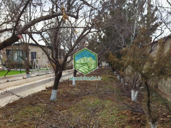 کردان البرز