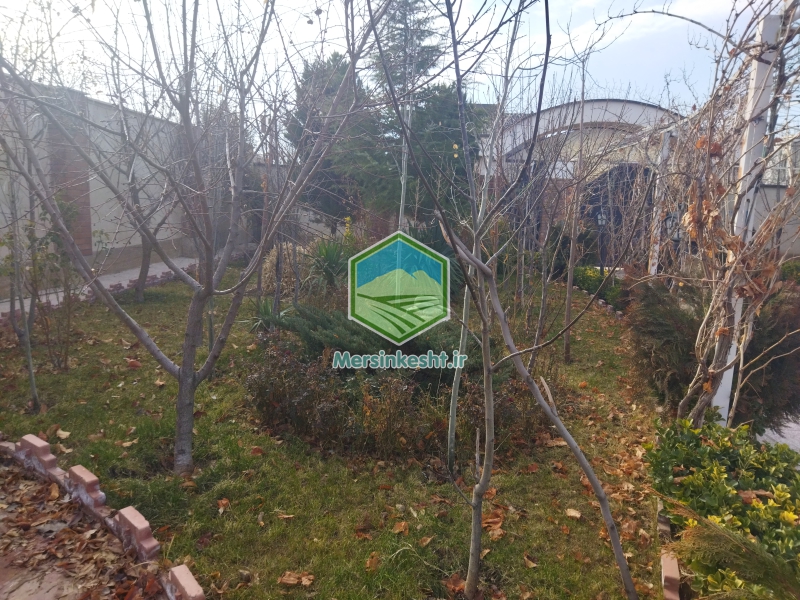 7 pruning-the-villa-garden-in-tehran-dasht