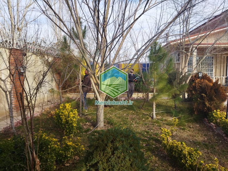 8 pruning-the-villa-garden-in-tehran-dasht