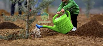 کود برای رشد سریع نهال