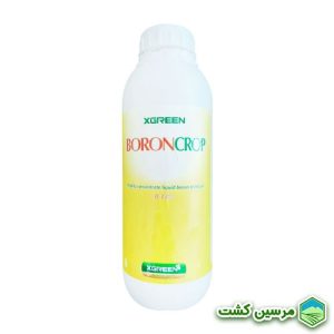 Liquid Boron Xgreen بور مایع ایکس گرین