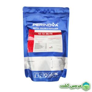 12 12 36 پرینوا