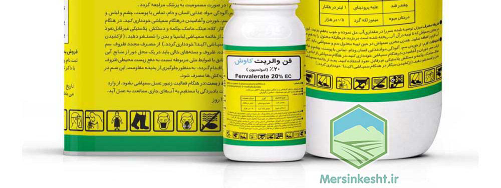 فن والریت چیست