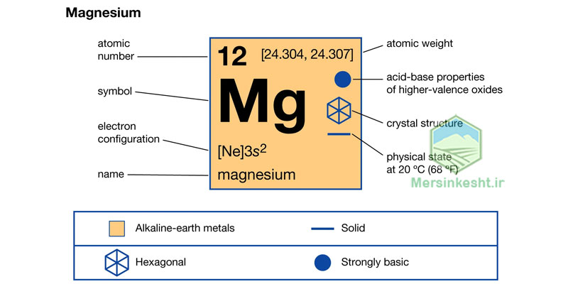 منیزیم در گیاه