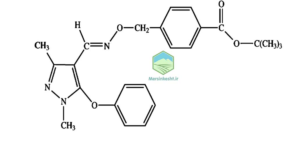 فن پروکسی میت