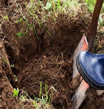 چالبرگ کمپوست