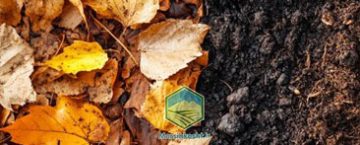 کمپوست با برگ