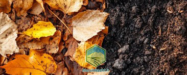 کمپوست با برگ